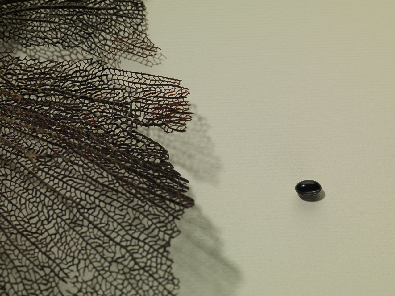 Astaxanthin burk